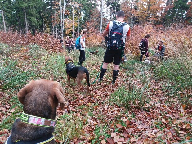 20191019_115127-619x464.jpg
