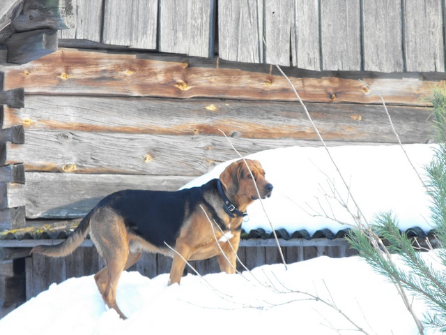 DSCF5055.JPG