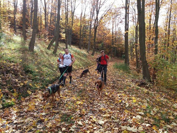 20191019_124539-619x464.jpg