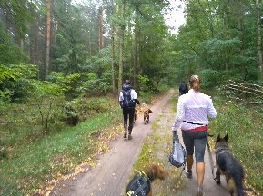 IMG_20190907_114450-289x216.jpg