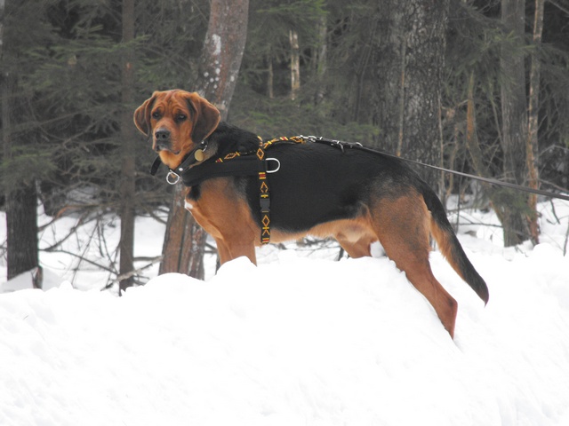DSCF5115.JPG