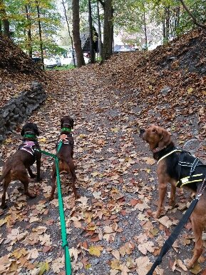 20191019_163832-289x385.jpg