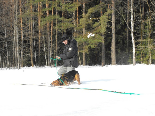 DSCF5151.JPG
