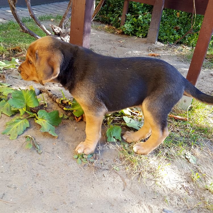 20191021_102539.jpg