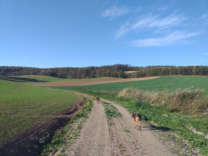 20191020_103256_.jpg