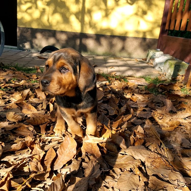 20191022_140616.jpg