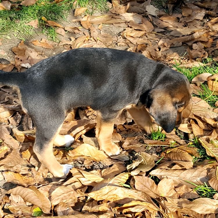20191022_131804.jpg
