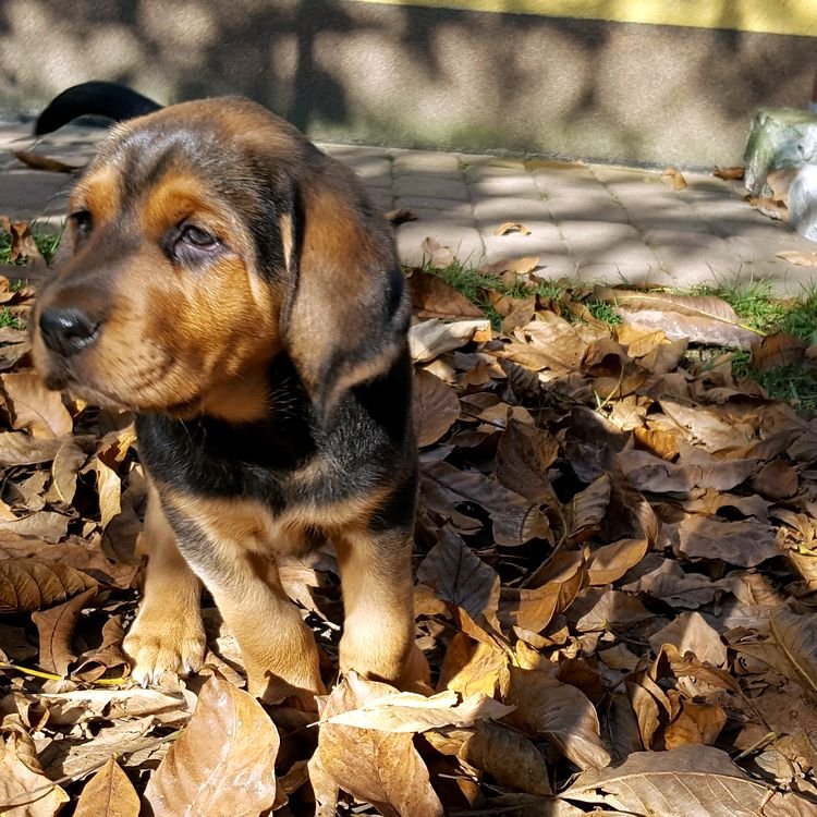 20191022_203205.jpg