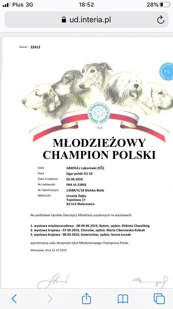 MLCHPL GRATKA.jpg