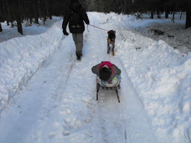 DSCF5187.JPG