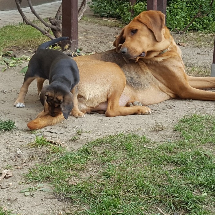 20191025_114902.jpg