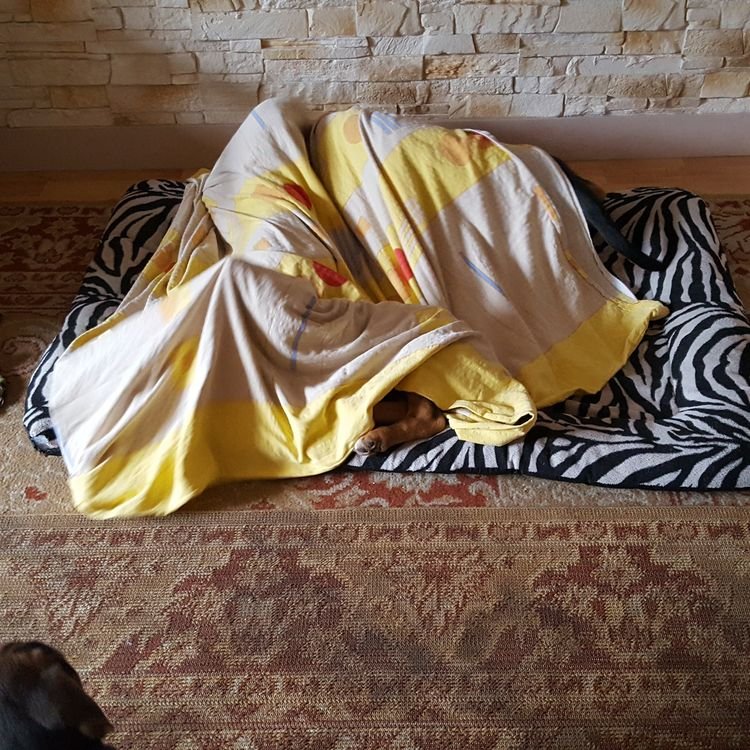 20191030_091455.jpg