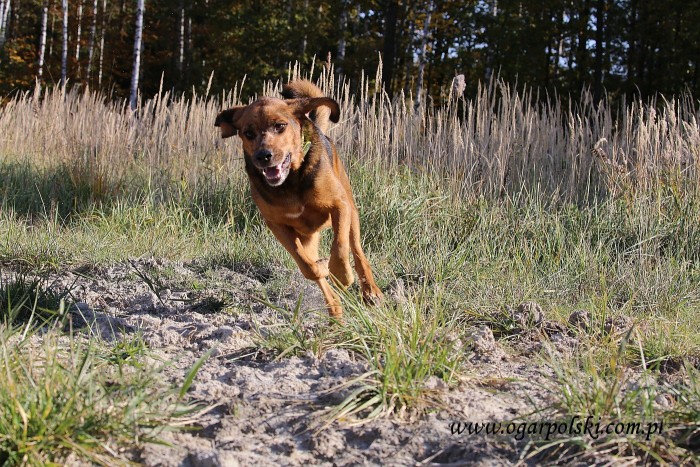 małe-IMG_6740.jpg