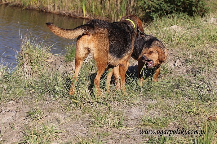 małe-IMG_6851.jpg
