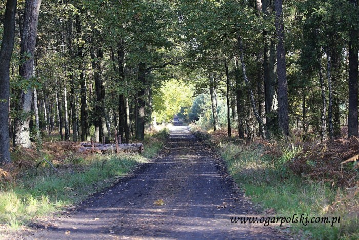 małe-IMG_6917.jpg