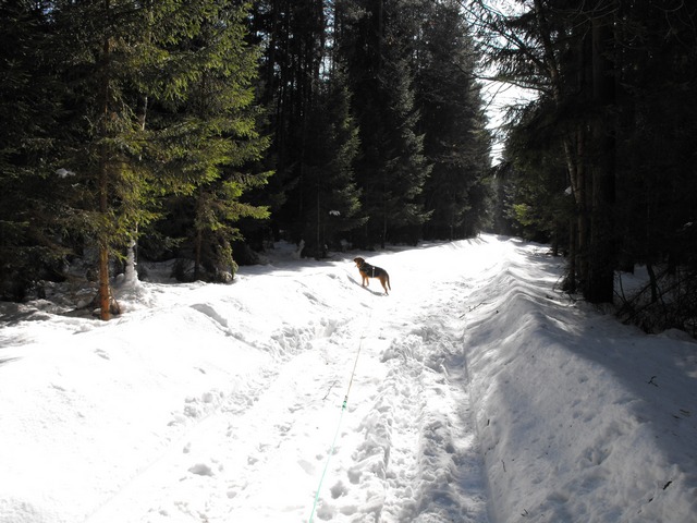 DSCF5329.JPG