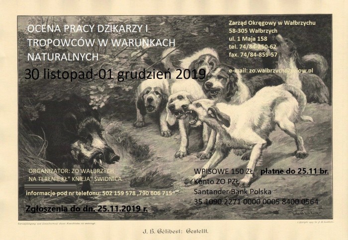 konkurs Świdnica.jpg