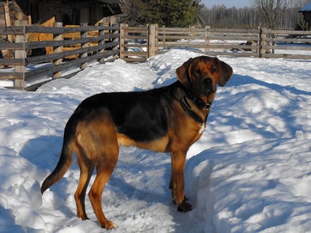 DSCF5363.JPG