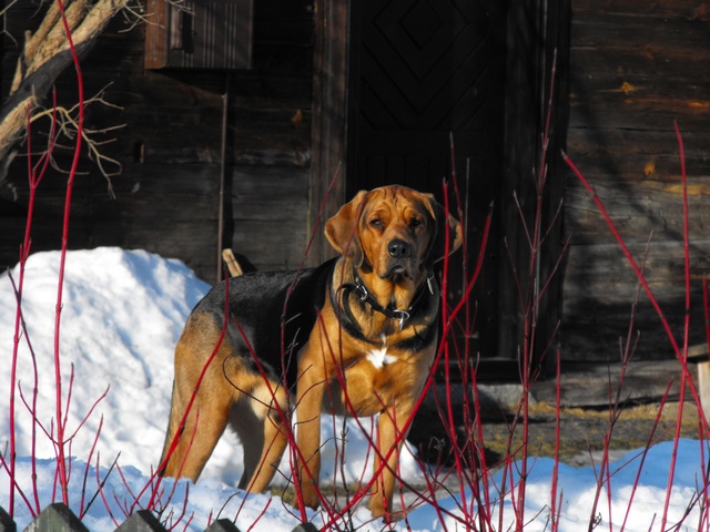 DSCF5373.JPG