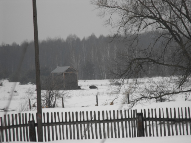 DSCF5392.JPG