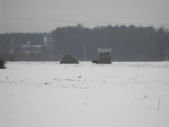 DSCF5396.JPG