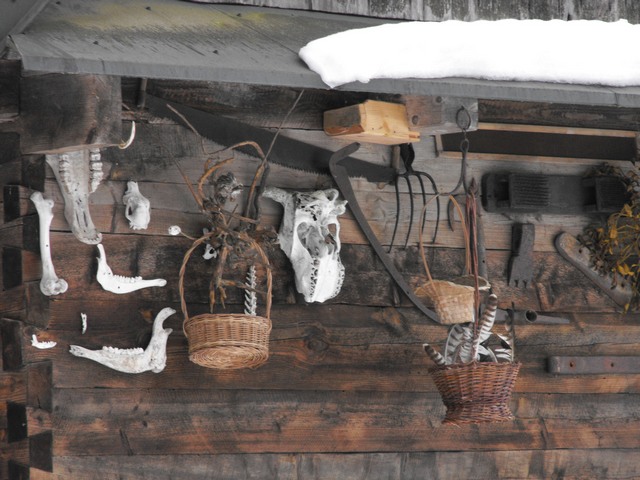 DSCF5401.JPG