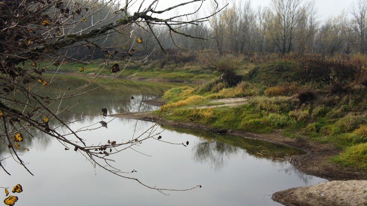 oczka wodne