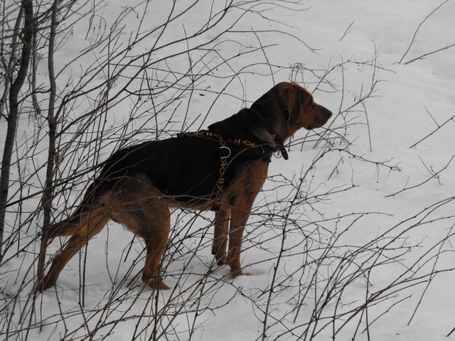 DSCF5414.JPG