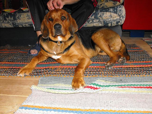 DSCF5428.JPG