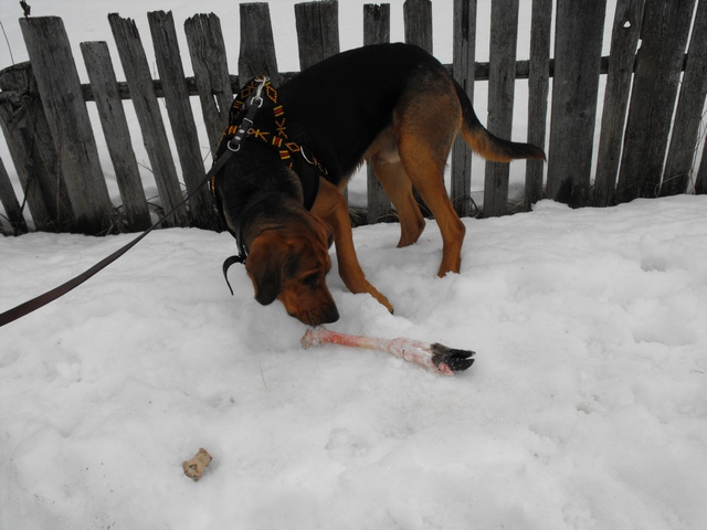 DSCF5437.JPG
