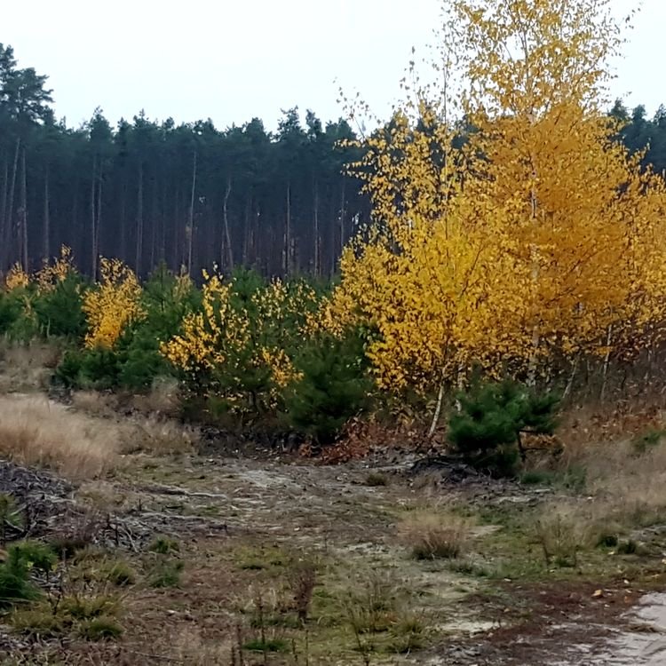 20191112_143121.jpg