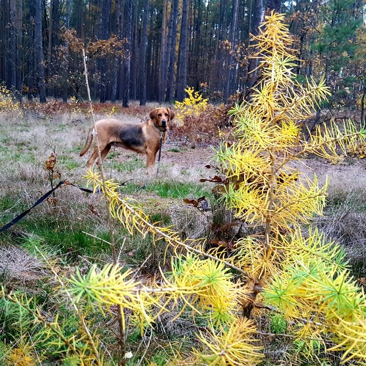 20191112_141024.jpg