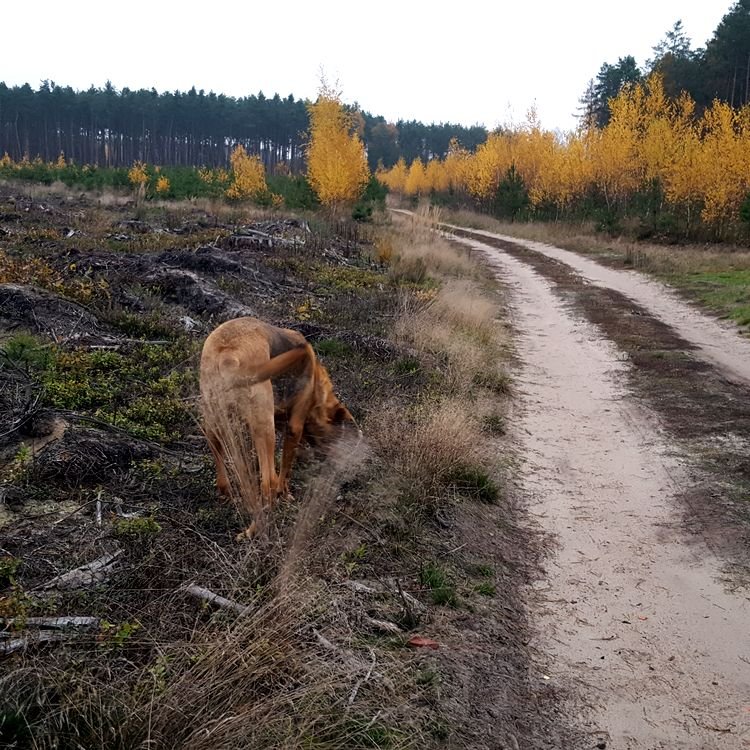 20191112_143034.jpg