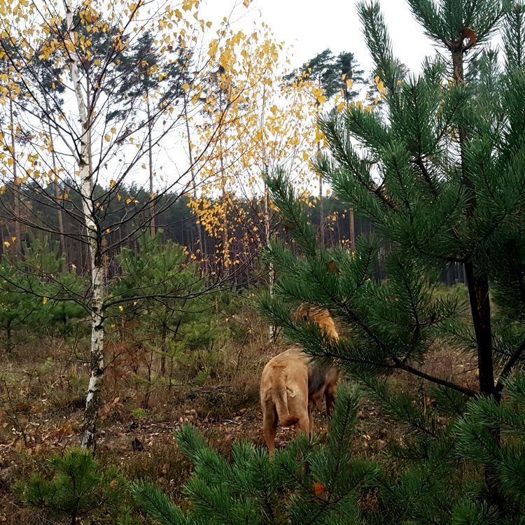 20191112_143502.jpg