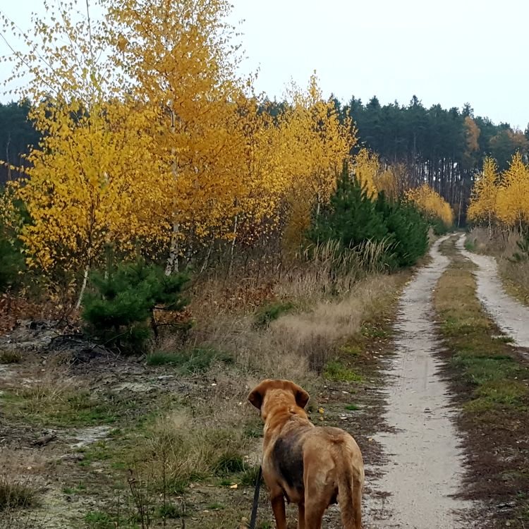 20191112_143142.jpg