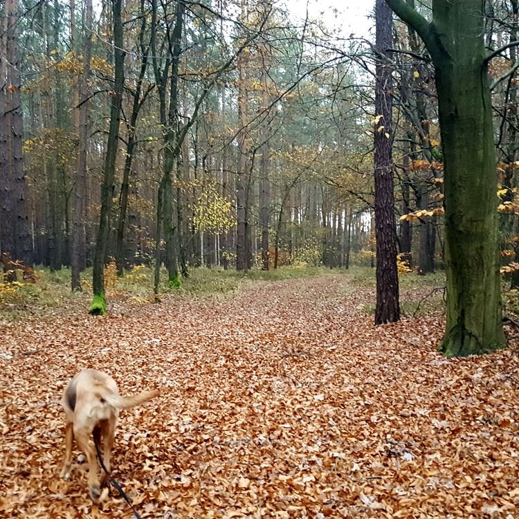 20191112_135909.jpg