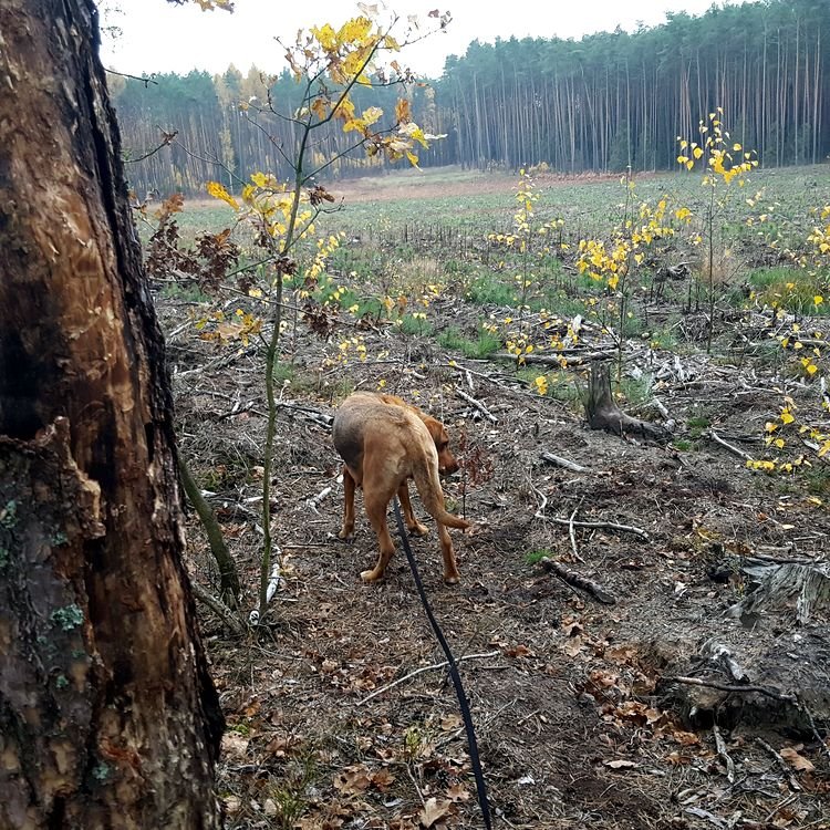 20191112_140857.jpg