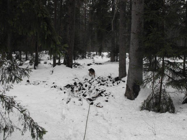 DSCF5447.JPG