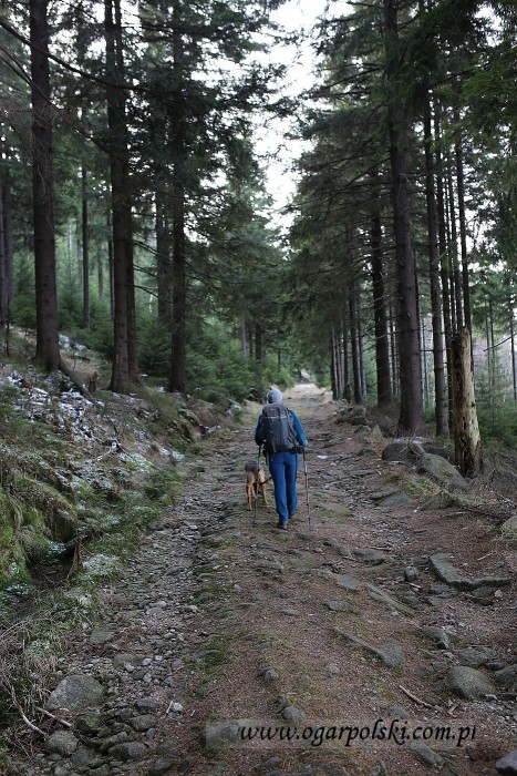 Karkonosze startujemy.