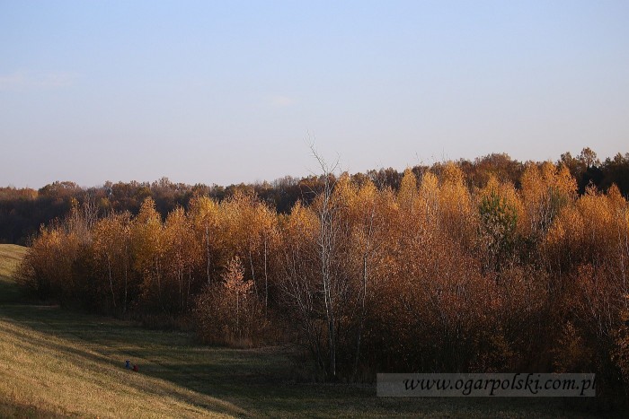 małe-IMG_7673.jpg