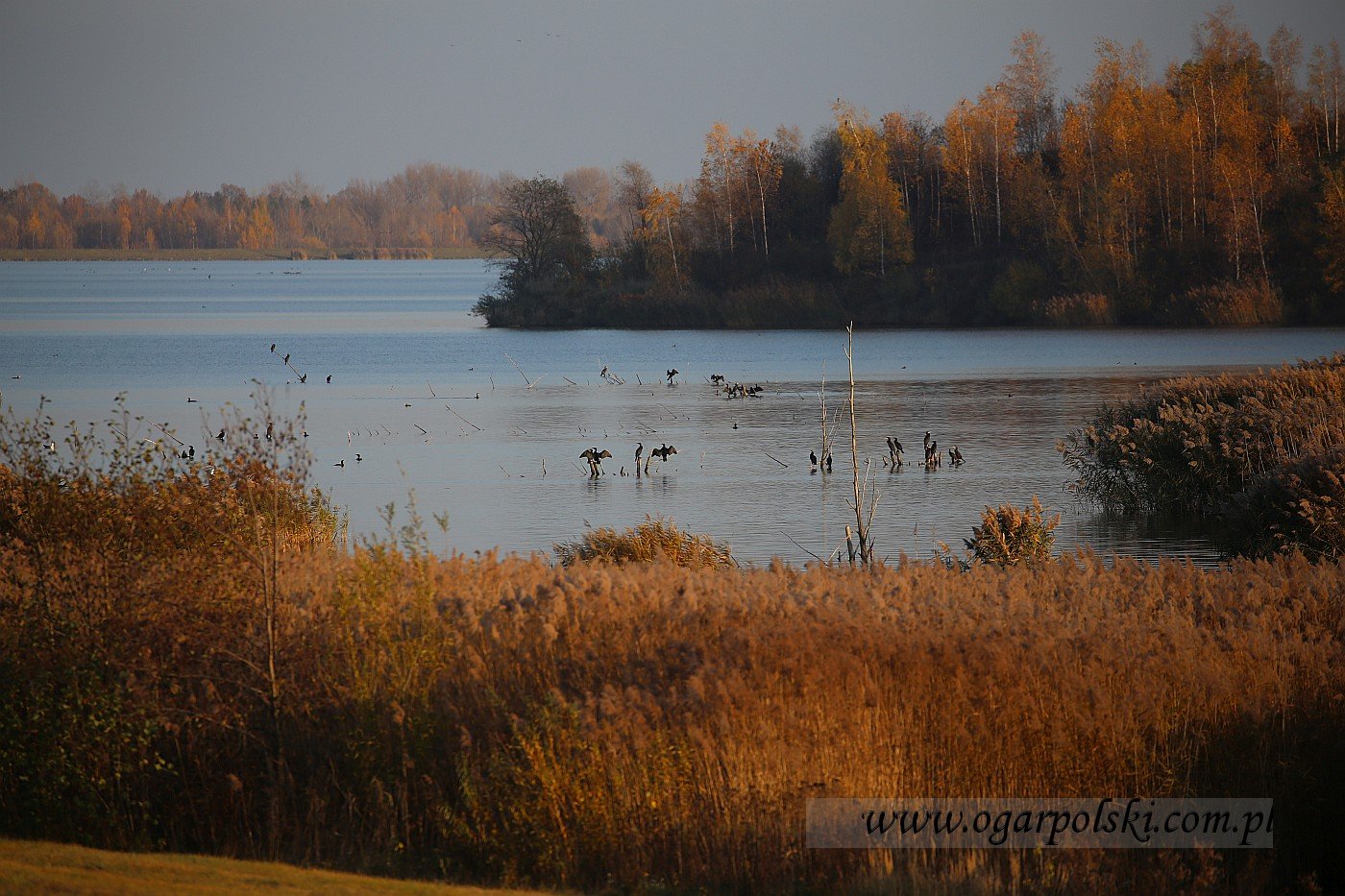małe-IMG_7678.jpg
