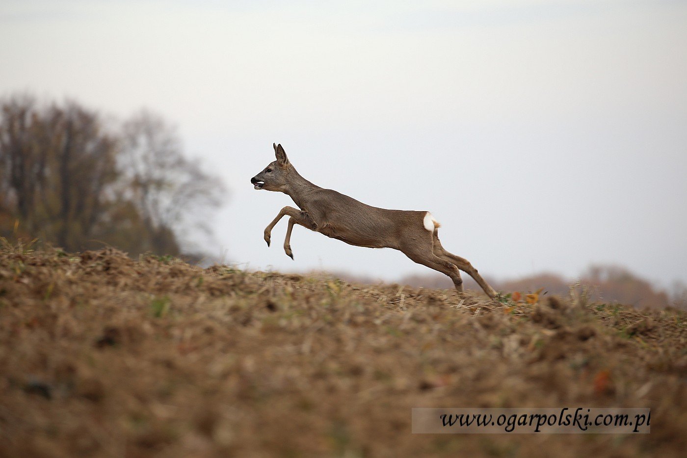 małe-IMG_7607.jpg