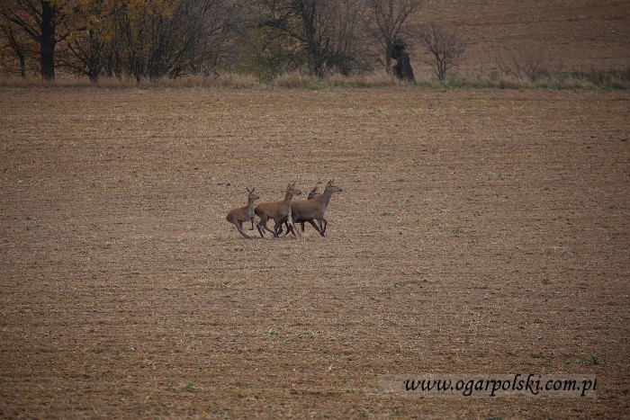 małe-IMG_7621.jpg