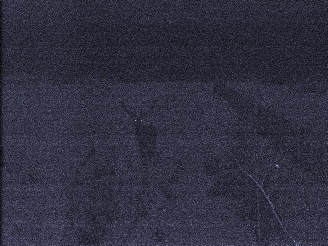 DSCF5504.JPG