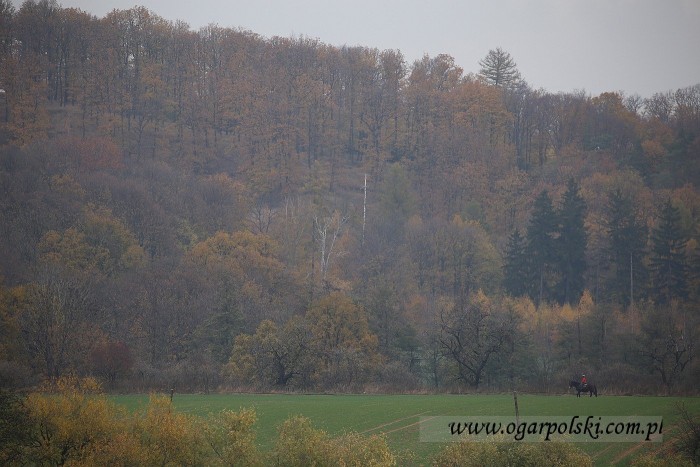 małe-IMG_7632.jpg