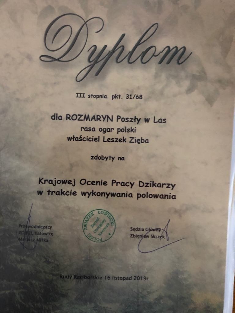 DYPLOM ROZMARYN.jpg