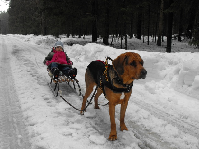 DSCF5512.JPG