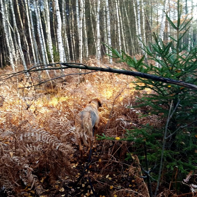 20191122_114536.jpg