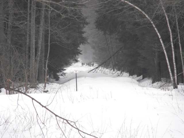 DSCF5517.JPG
