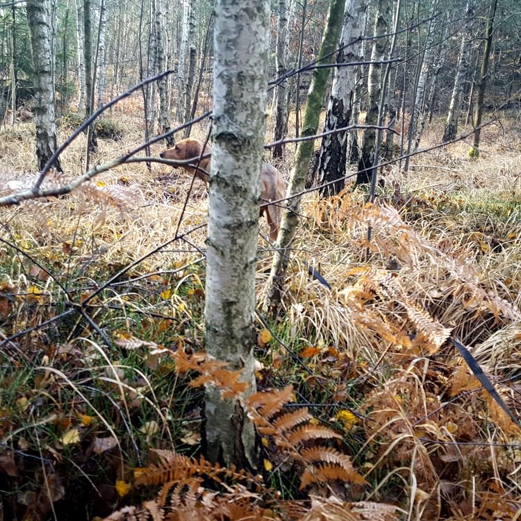 20191122_113739.jpg